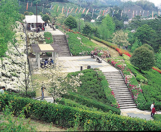 画像：今治市民の森フラワーパーク